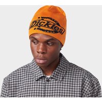 Dickies Summerdale Beanie