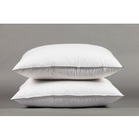 Set 2x oreillers 60x60 cm