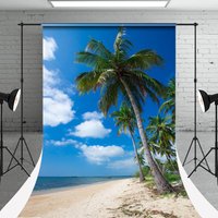 Sandy Slope Coconut Tree Sky Sweep Backdrop For Photo - Aperturee