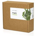 Smart Garden | Rucola Plantencapsule 9-pack