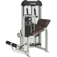 Cybex Prestige Series Abdominal Selectorised