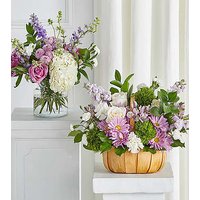 Tender Embrace Bundles
