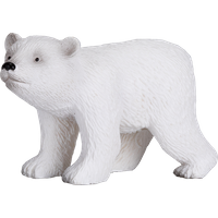 Polar Bear Cub Walking