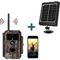 Bundle Wildkamera Wildtierkamera Jagdkamera Wlan 64MP 1296P 0,1s Auslöserzeit Bewegungsmelder 110°PIR und Solarpanel-Kits 8000mAh 12V/9V/6V| W600 Rot