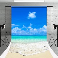 Simple Wave Beach Summer Holiday Photo Sweep Backdrop - Aperturee