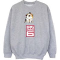 Big Hero 6  BI2044  girls's Children's Sweatshirt in Grey