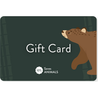 Bare Kind Gift Card (Gift Voucher) | £50