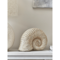 Faux Ammonite