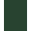 Ribble Touch Up Paint - Hybrid Green