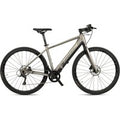 TOTEM Urban E-Bike HWD 28" Platin