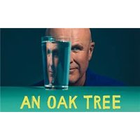 An Oak Tree