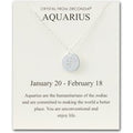 Aquarius Zodiac Star Sign Disc Necklace Created with Zircondia® Crystals