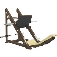 Cybex Leg Press Station Plate Loaded