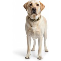 Rebel Skulls Studded Collar for Golden Retriever - S
