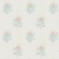 Sanderson Wallpaper Protea Flower 216330