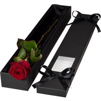 Single Extra Long Luxury Red Rose