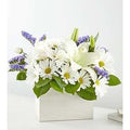 Beyond Blue Box Bouquet