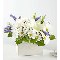Beyond Blue Box Bouquet