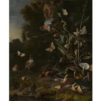 Melchior d'Hondecoeter, Birds, Butterflies and a Frog among Plants and Fungi Print