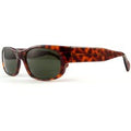 Nikko Damen 9886 01 TARTARUGA Outlet-Sonnenbrillen Plastik Havanna