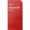 Microsoft SQL Server 2017 Standard 10 User CAL