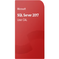 Microsoft SQL Server 2017 Standard 10 User CAL