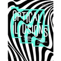 Optical illusions. Ediz. illustrata