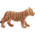 Tiger Cub standing