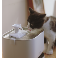 Petlibro Dockstream Battery-Operated Water Fountain, White / Dockstream, wireless cat fountain