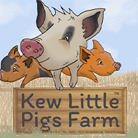 Kew Little Pigs - Family of 4