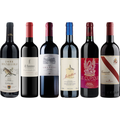 Super Tuscan Tasting Case