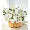 Graceful Garden Basket