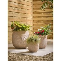 Three Sand Palm Planters