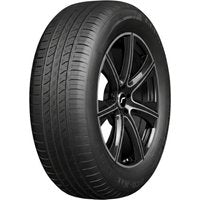 Pneu Double Coin 205/55 R16 91V DCO-Max