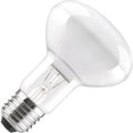 Gloeilamp | Grote fitting E27 | Reflectorlamp | Mat | 80mm | 100W