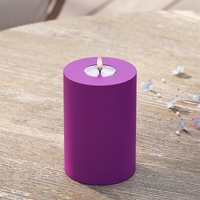 Udendørs LED Bloklys Ø 10 x 15 cm Violet