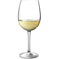 Versailles Wine Glasses 20.4oz / 580ml (Case of 12)