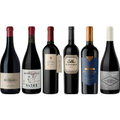 Argentinian Malbec Premium Tasting Case
