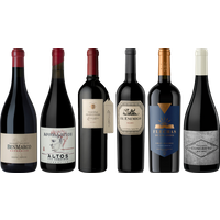 Argentinian Malbec Premium Tasting Case