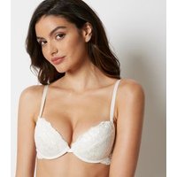 Push up - New Primula / SETA / 1
