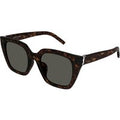 SAINT LAURENT Kvinde SAINT LAURENT SL M143 002 Solbriller Acetat Havana Grå Cat Eye