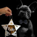 Stella regalo con Profumo da 30 ml + Papillon Fido Natura con papillon nero - 1° ORDINE? scegli tra BZR5 - BZR20 + 200 pt fedeltà
