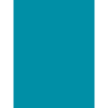 Ribble Touch Up Paint Endurance SL Teal