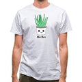 Aloe There classic fit.