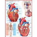 Eurographics Puzzle Das Herz  - 1000 Teile