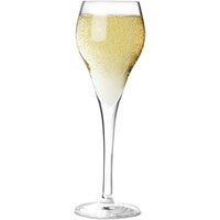 Brio Champagne Flutes 3.3oz / 95ml (Case of 24)