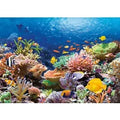 Castorland Puzzle Korallenriff  - 1000 Teile