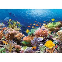 Castorland Puzzle Korallenriff  - 1000 Teile