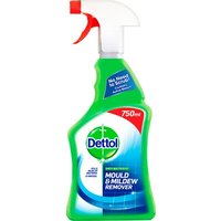 Dettol Schimmelverwijderaar - 750ml