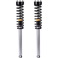 Airmatic Rear Airmatic to Coil Conversion Kit For Mercedes S Class W220